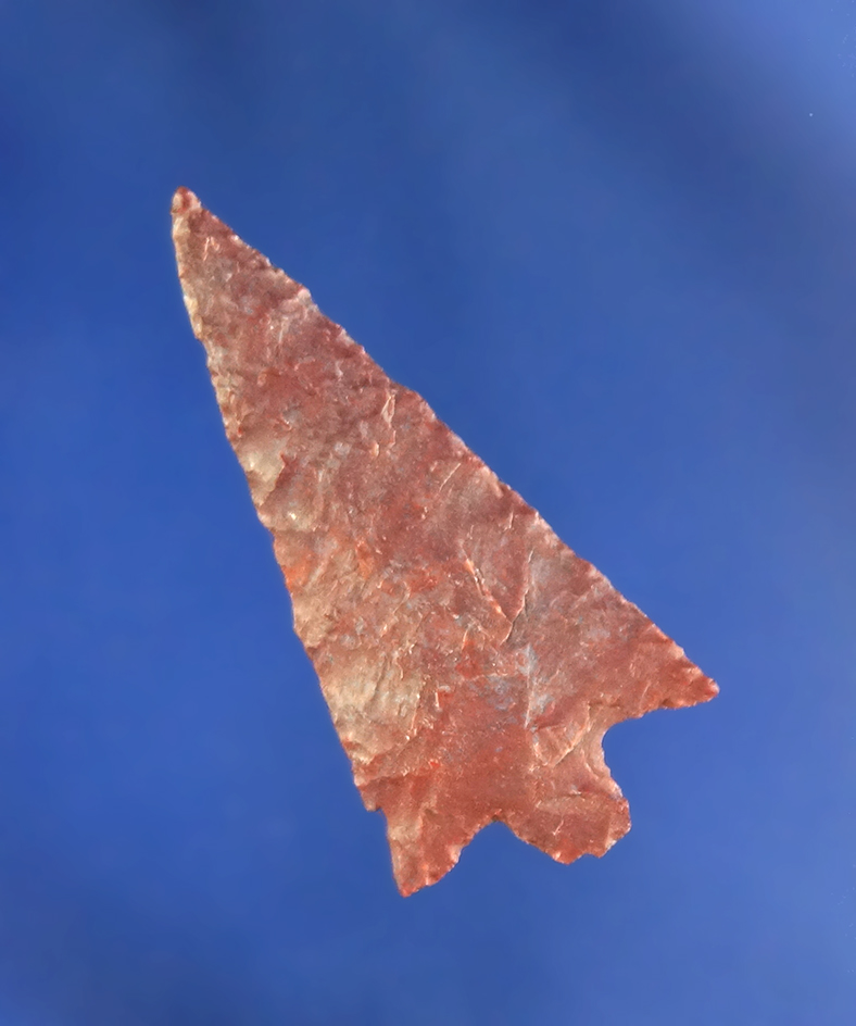 Thin and very nicely flaked 1 1/16" brown Jasper Wallula Gap found near the Columbia River.