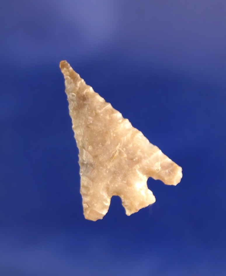 1" finally flaked Columbia Plateau that is thin and nice.  Wishram area of the Columbia River.