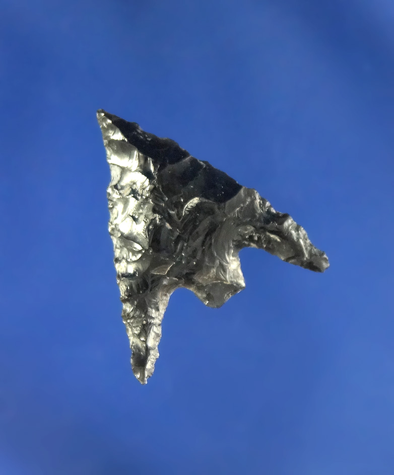 13/16" Obsidian Gunther found in Oregon.