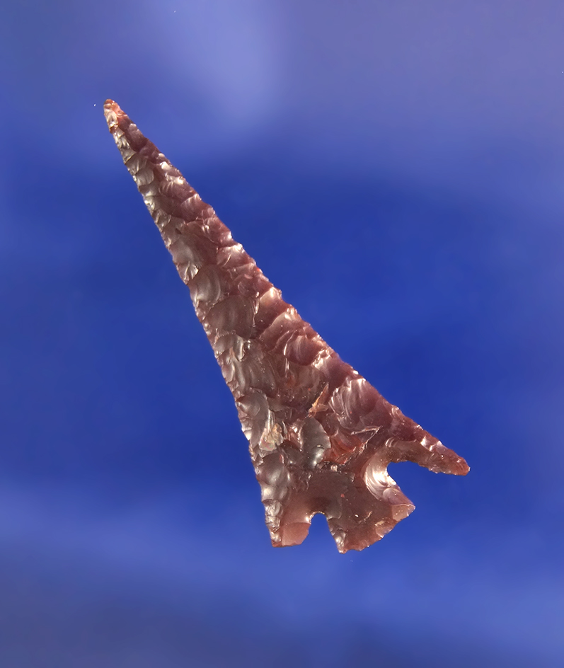 1 9/16" Columbia Plateau that is thin with exceptional flaking made from.  Wishram area.