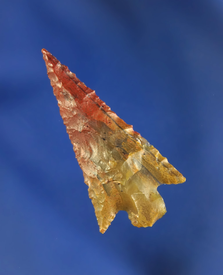 1 5/16" Petrified Wood Rose Springs found near the Decker site, Scappoose, OR. by Robert Howard.