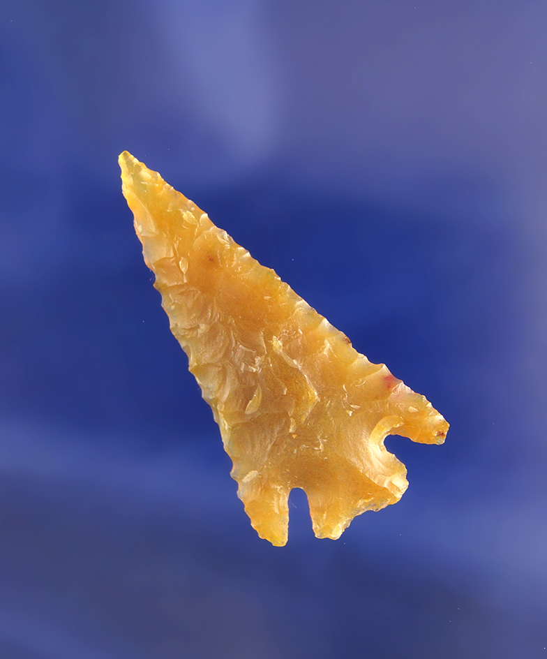 1 3/4" Columbia Plateau - beautiful honey colored agate. Wishram area of the Columbia River.