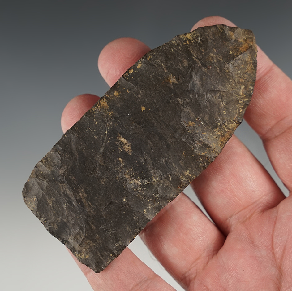 Well patinated 3 3/4" Copena found in Central Tennessee.