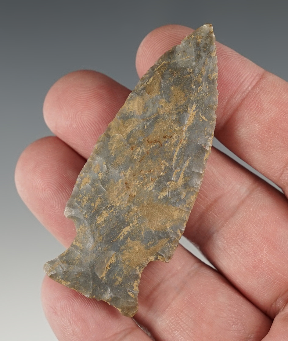 2 5/8" Kentucky Lowe point that is well made.