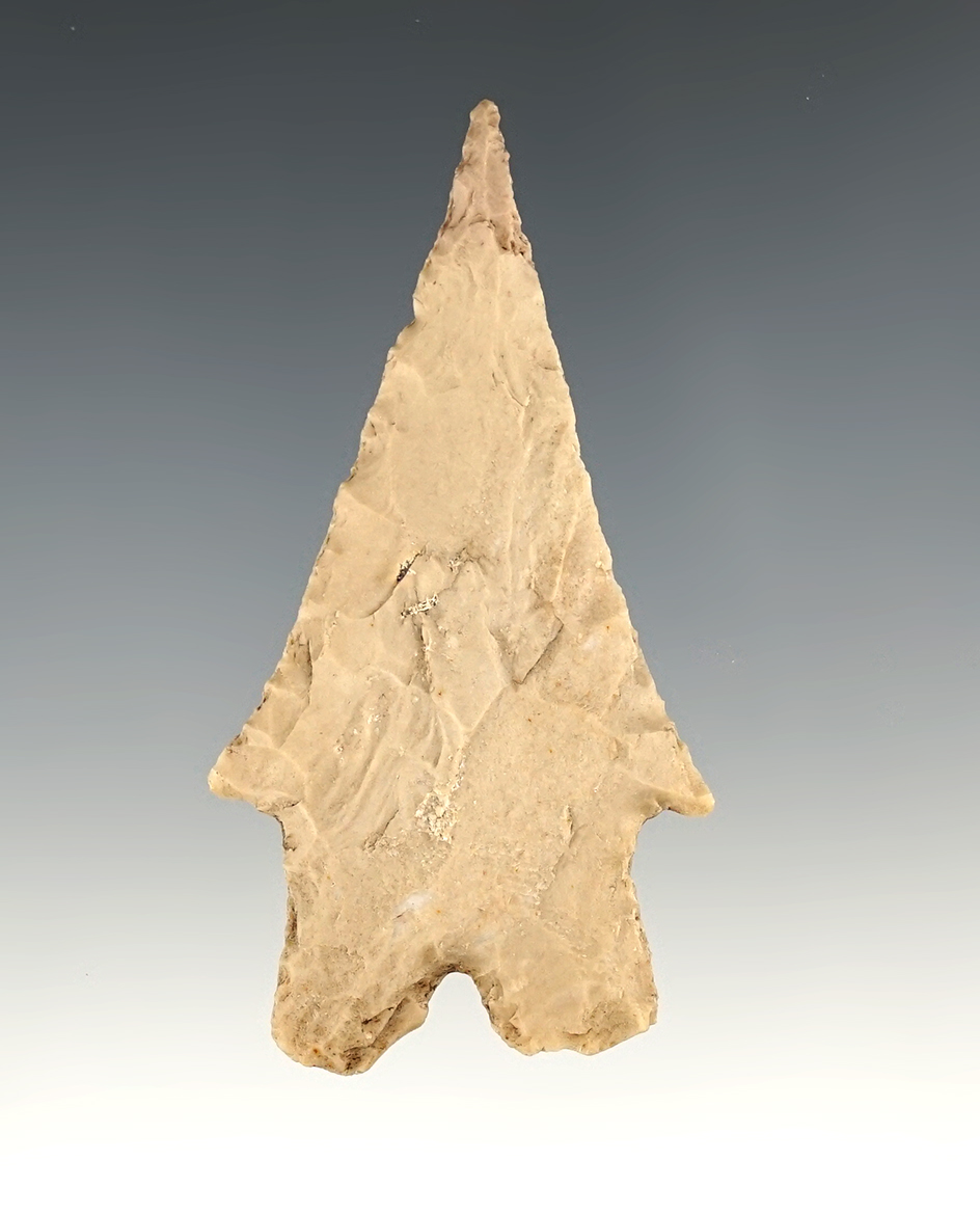 2 7/8" Montell that is heavily patinated. Found in Burnet Co., Texas. Comes with a Rogers COA.