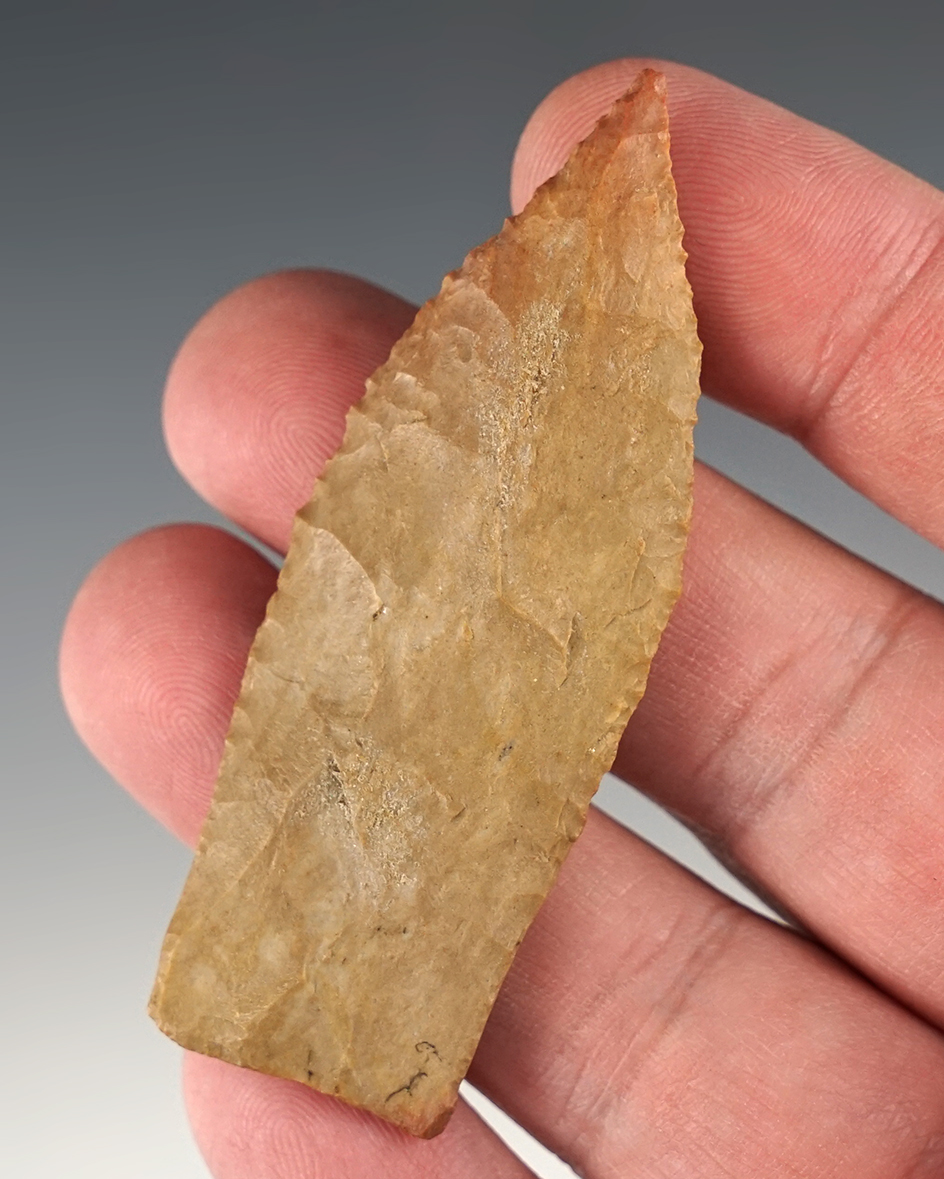Nicely made 2 13/16" Copena found in Hardin Co., Tennessee.