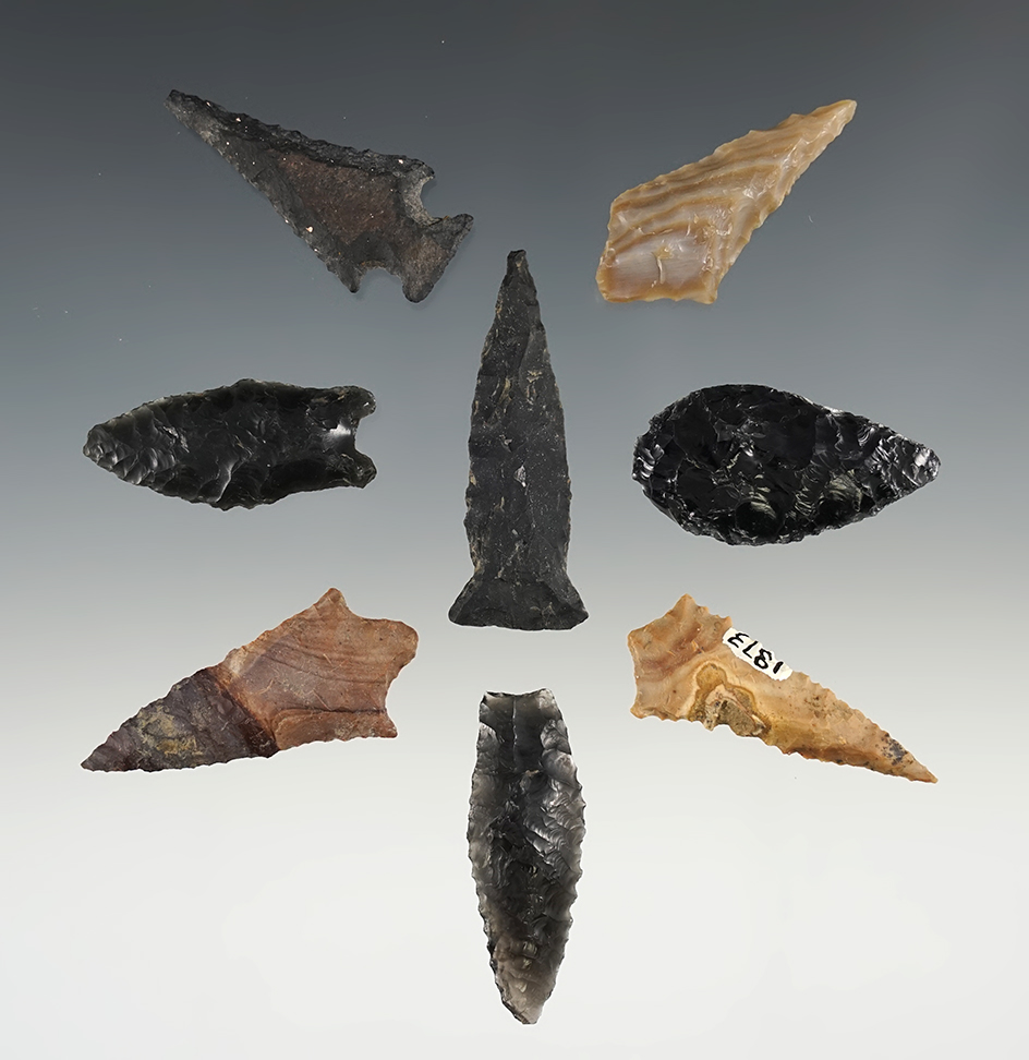 Set of 8 nice Oregon points. The largest is 1 13/16".