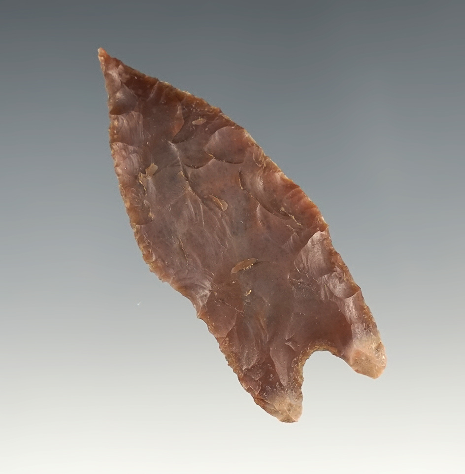 Colorful 2 7/16" Pedernales found in Uvalde Co., Texas. Comes with a Rogers COA.