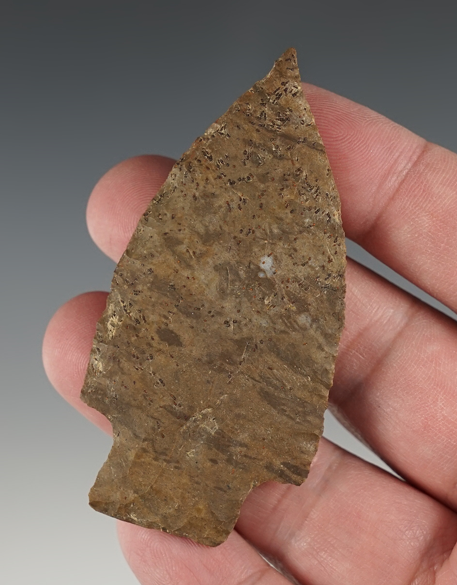 2 15/16" Benton with a needle tip. Found in Houston Co., Tennessee.