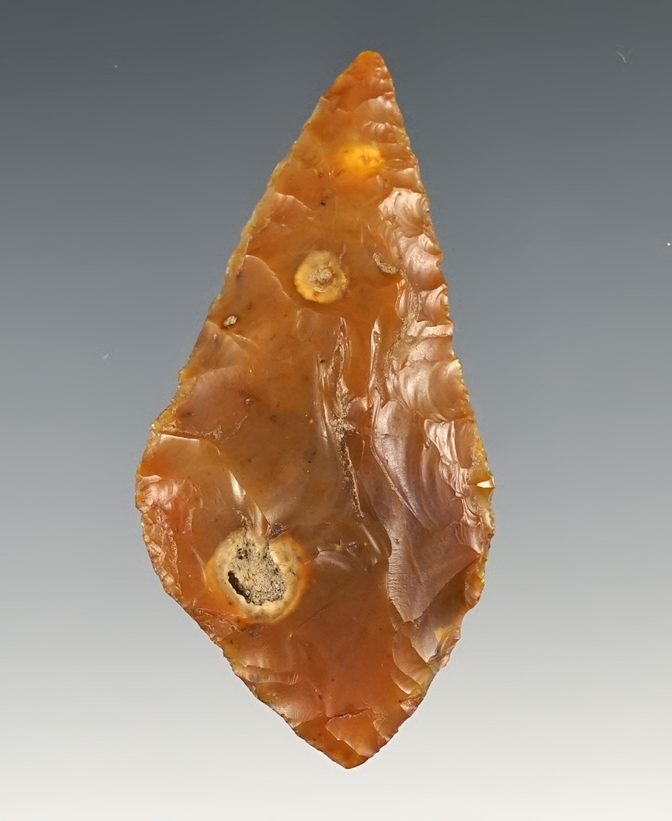 Beautiful 2 1/2" Cascade found close to the Columbia River, Oregon.