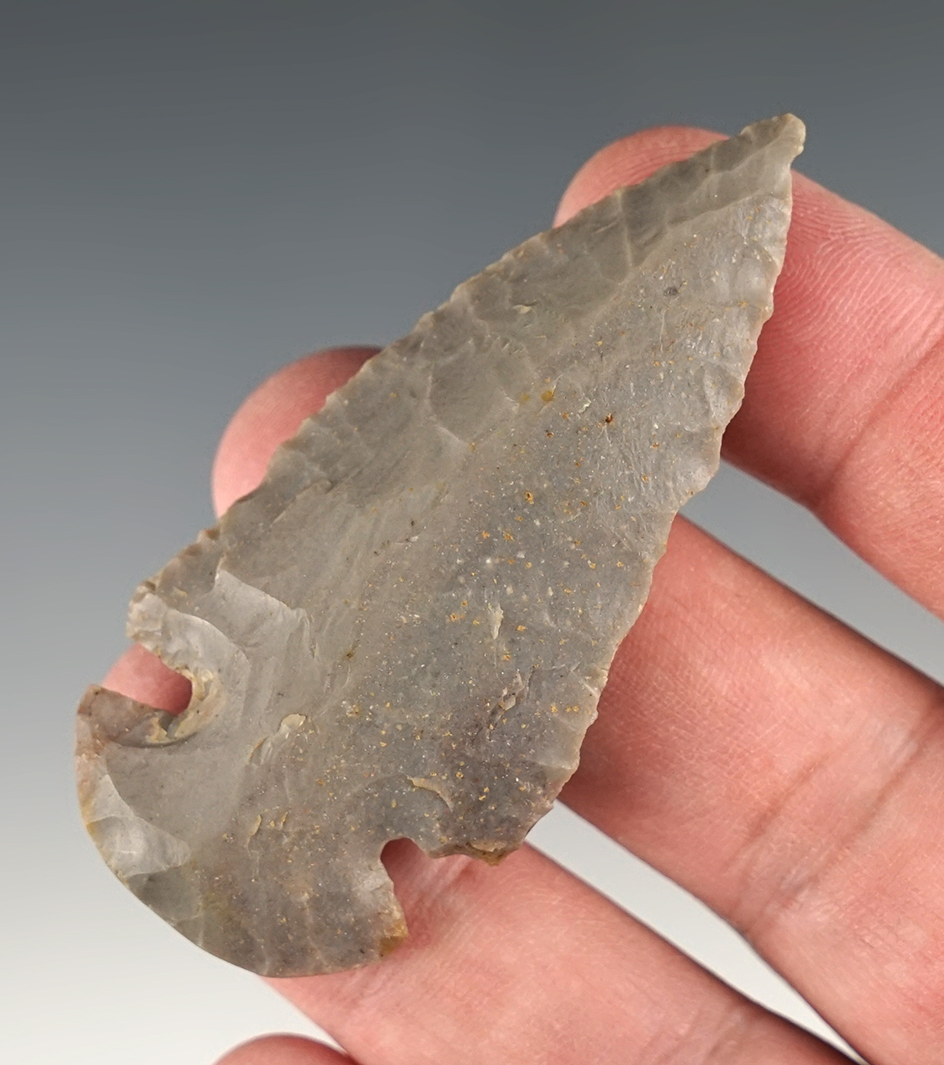 2 5/8" Hornstone Dovetail found in Kentucky.