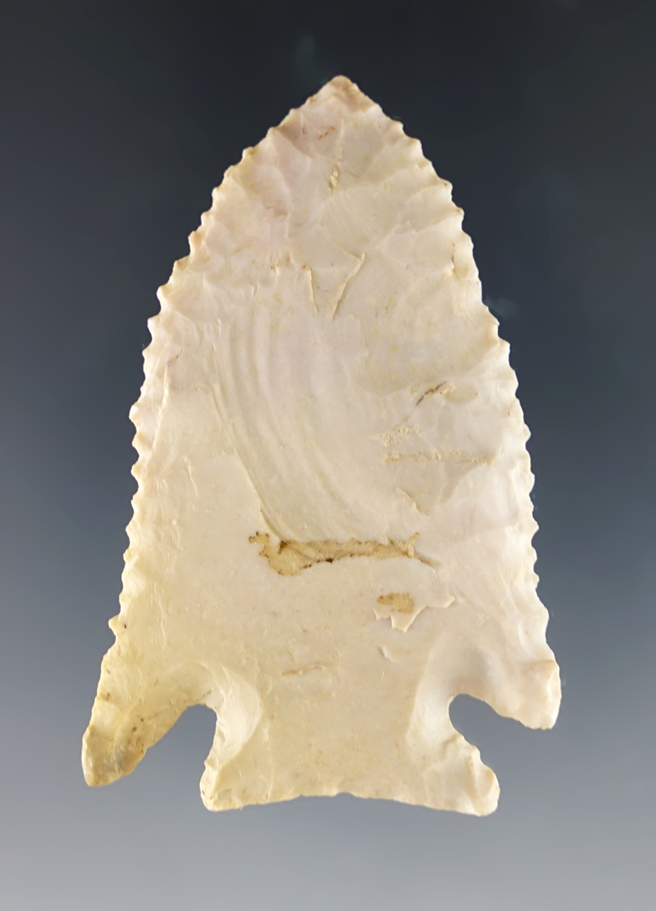 Serrated 2 7/16" Cornernotch found in the Midwest. Minor tip retouch.