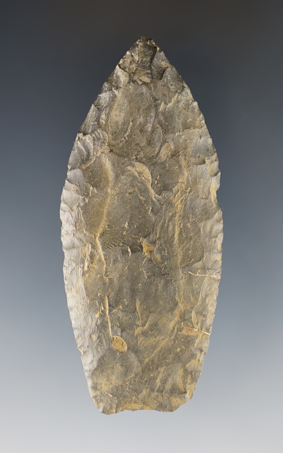 2 7/8" classic Paleo Lanceolate found in Marion Co., Ohio. Made from patinated Nellie Chert.