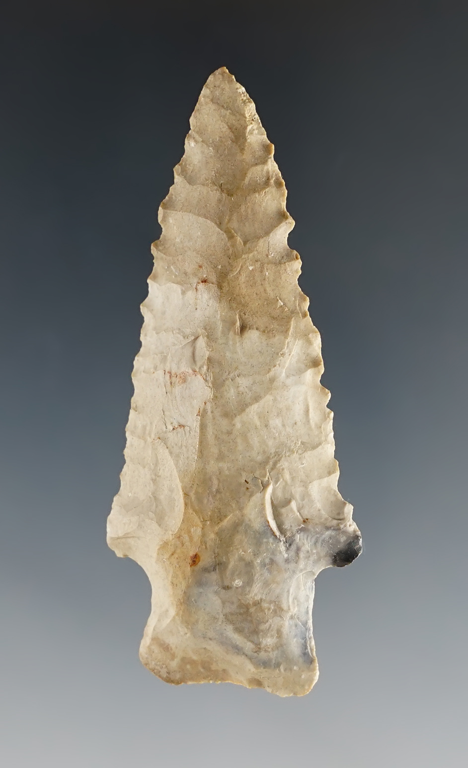 2 11/16" classic style Heavy Duty found in the Midwestern U.S. Nice edge serrations.