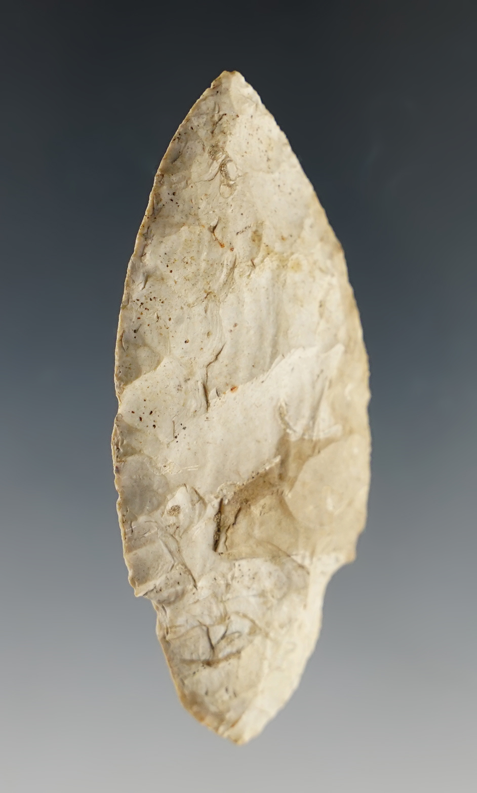 2 3/4" Beavertail Adena. Found near Green Camp, Marion Co., Ohio by Jack Hooks.