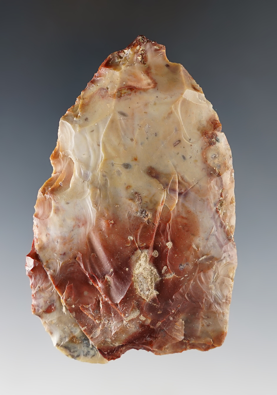 3 3/8" Colorful red & cream Flint Ridge Archaic Blade. Found in Crawford Co., Ohio.