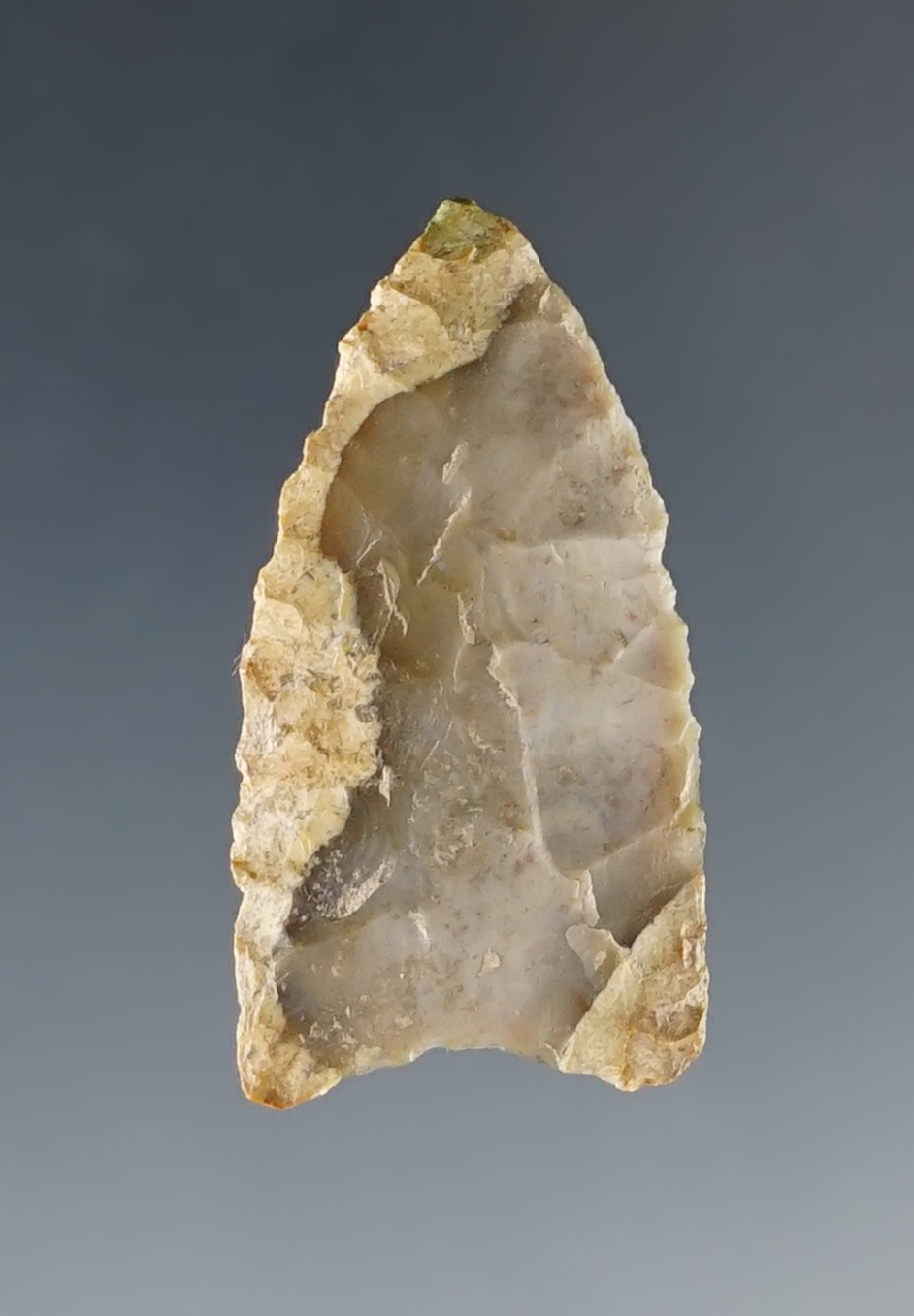 1 1/4" Paleo Dart point found in the Midwestern U.S. Well made. Comes with a Bennett COA.