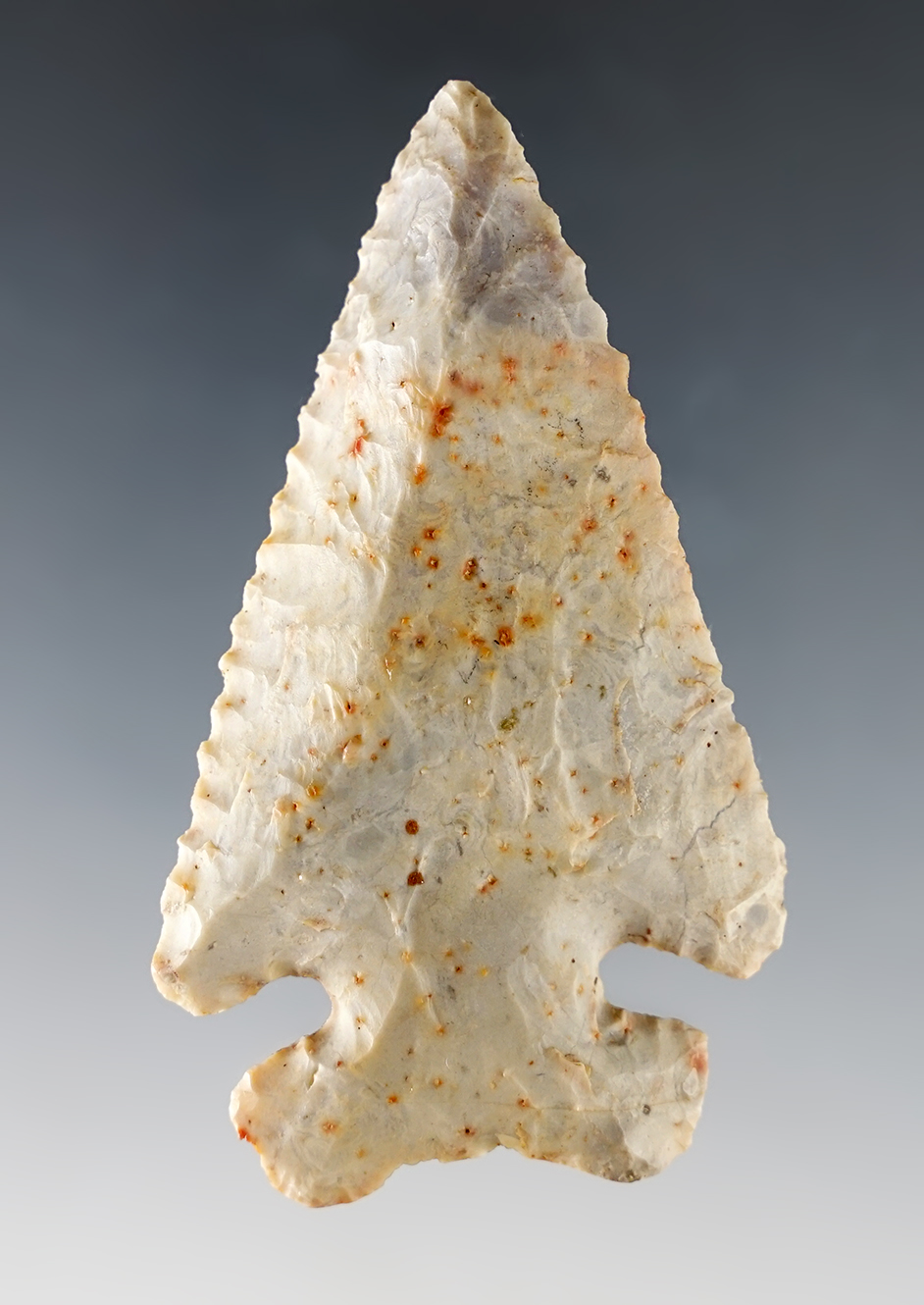 Patinated 3 1/16" Classic Archaic Thebes Bevel found in Medina Co., Ohio. Flint Ridge Flint.