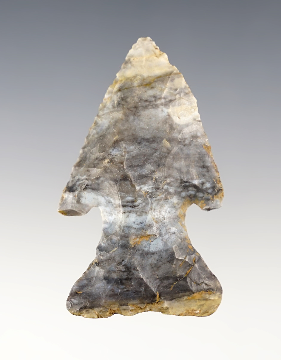 2 3/8" Archaic Dog-Leg Thebes Bevel. Found in Muskingum Co., Ohio.