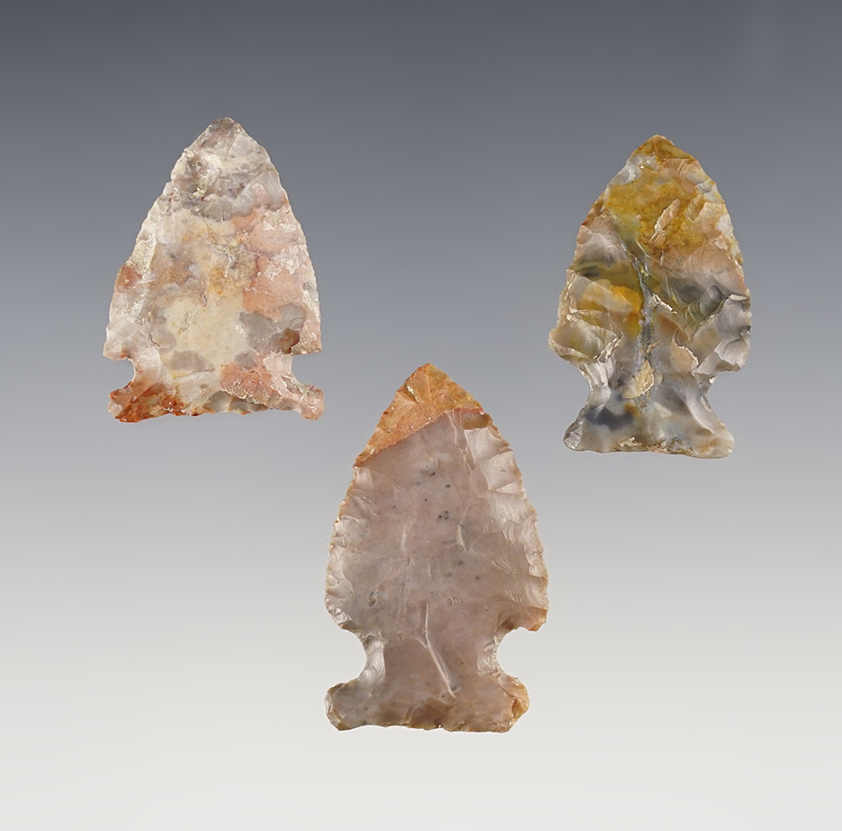 Set of 3 colorful Archaic Side Notched Dart points found in Ross Co., Ohio.  Bennett COA.