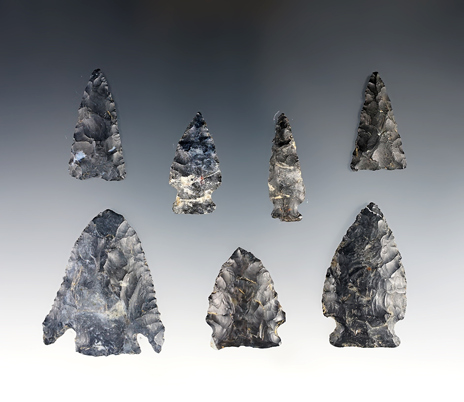 Set of 7 nice Coshocton points found in Ohio. The largest is 1 5/8".