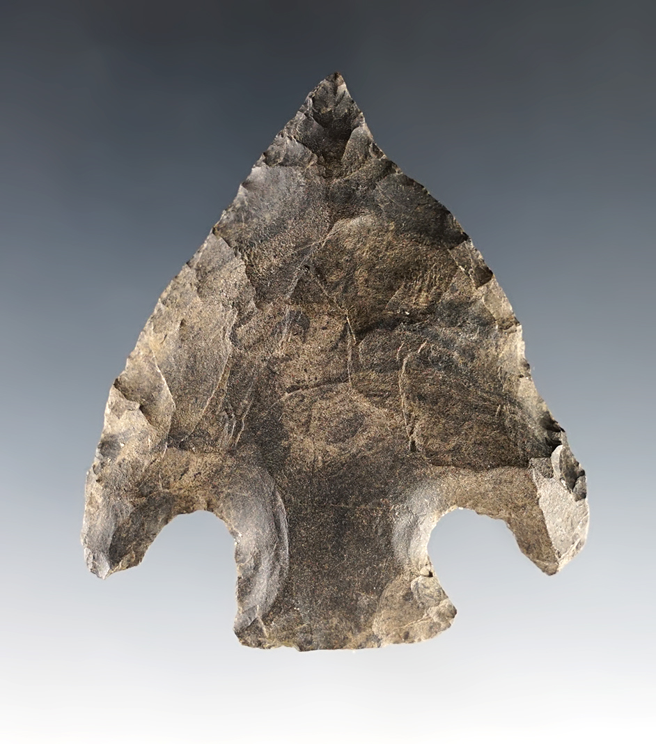 2 1/2" Basal Notch point with a needle tip. Exact find location is unknown.