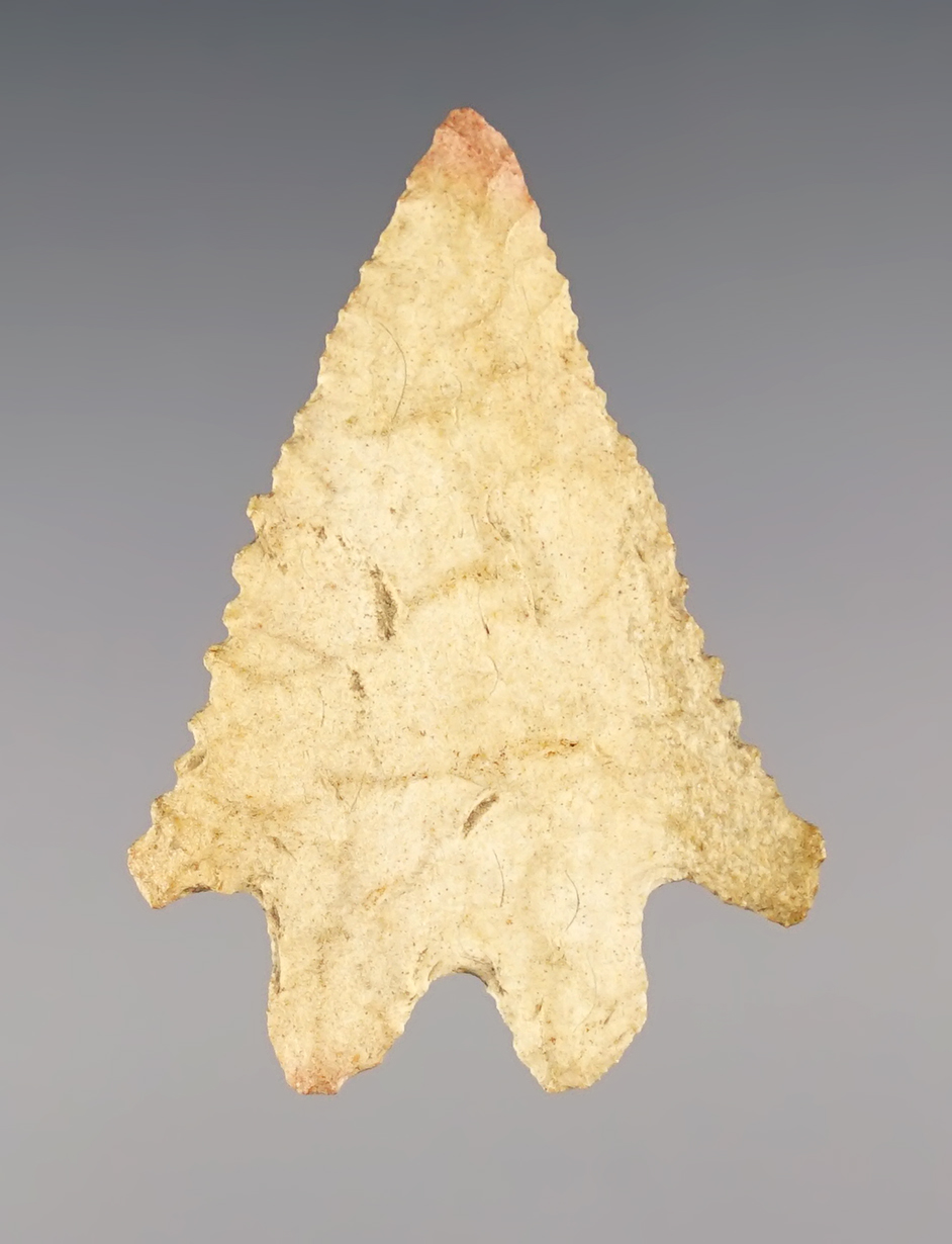 Superb 1 11/16" Lecroy Bifurcate that is thin will fine serrations. Found in Ohio. Ex. Wehrle collection.