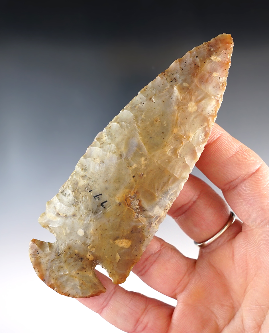 4 1/2" Wide Base Dovetail - Flint Ridge Flint. Found in Franklin Co., Ohio. Ex. Don Bapst, Jim Johns