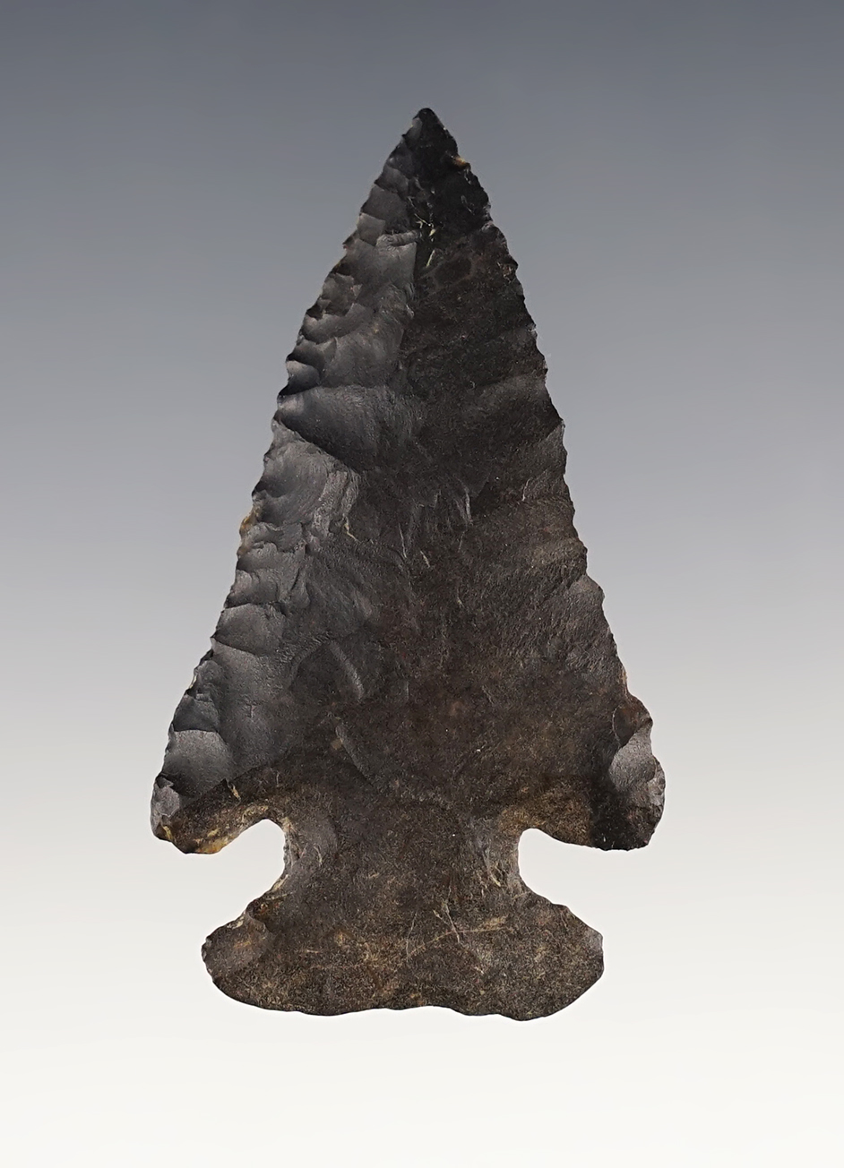 Finely made 2 1/2" Archaic Thebes Bevel found in Ohio.  