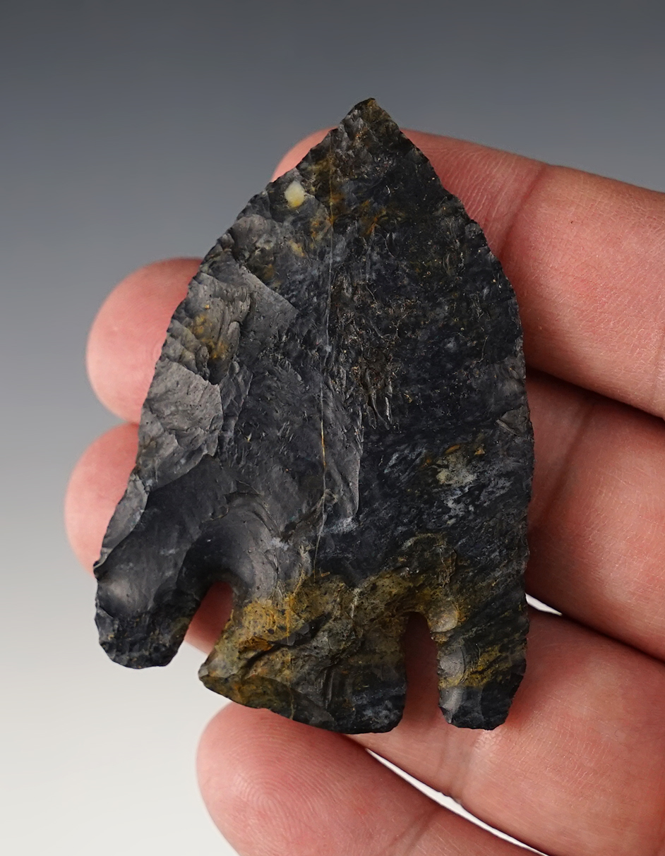 Fantastic 2 3/8" Basal Notch - Ross Co., Ohio. An uncommon Ohio type. High-grade Coshocton.