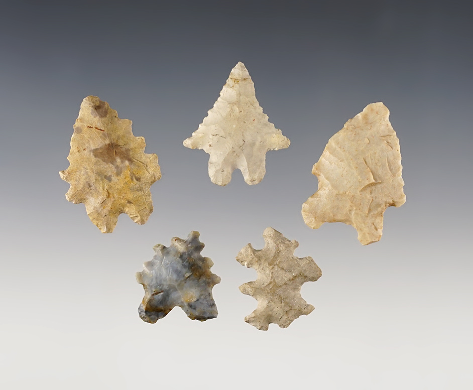 Set of 5 Ohio points including 2 Bifurcates and 2 Eccentrics. One is broken and glued. 
