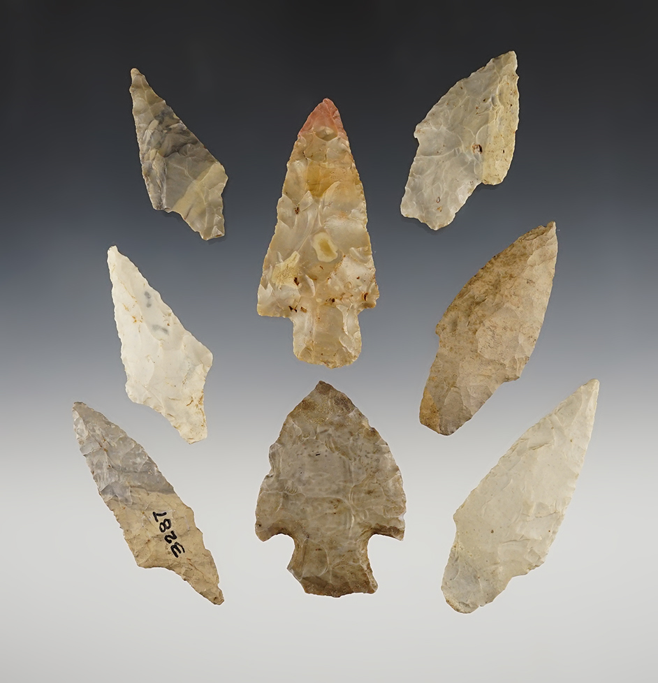 Set of 8 nice points found in Southwest Missouri by Lee Adams in the 1930's-1960's. 