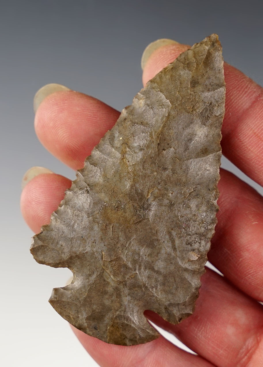 2 15/16" Coshocton Flint Dovetail found in Ashland Co., Ohio. 