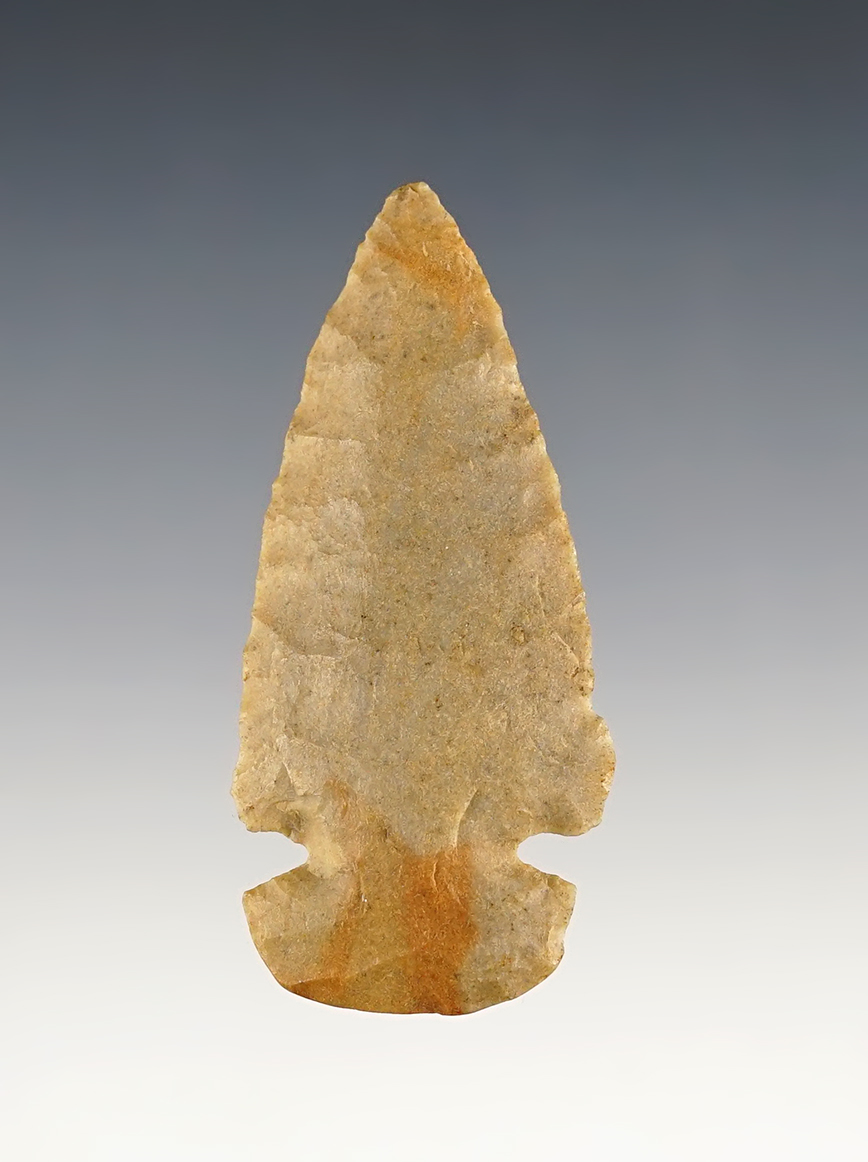 2 9/16" Dovetail that is nicely flaked, found in Ohio. 