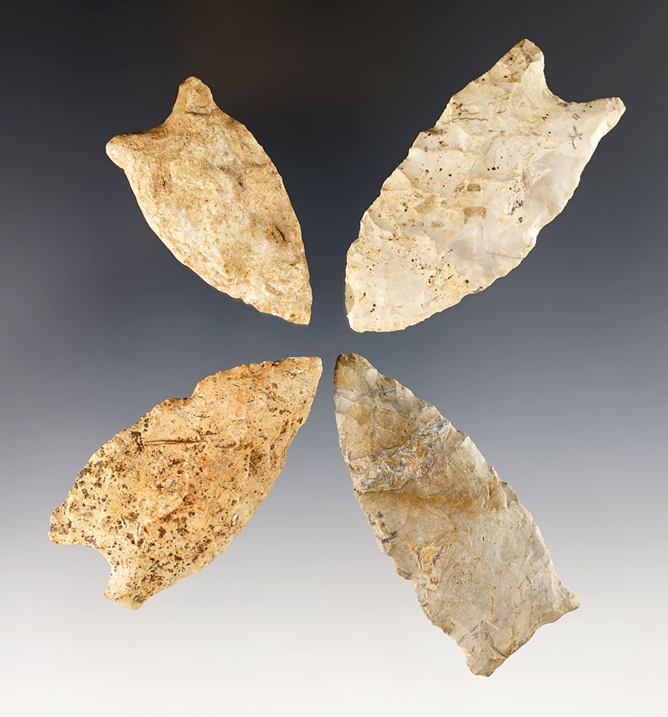 Group of 4 Ohio and Indiana Paleo points with nice mineral deposits on surfaces. 