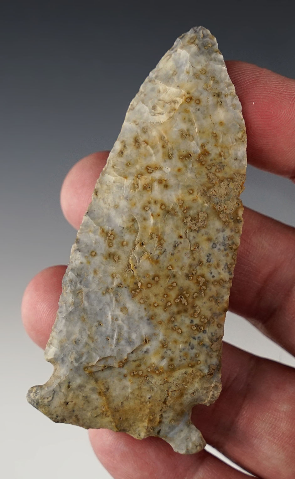 3 3/8" Meadowood made from Upper Mercer Flint. Found in Stark Co., Ohio. 