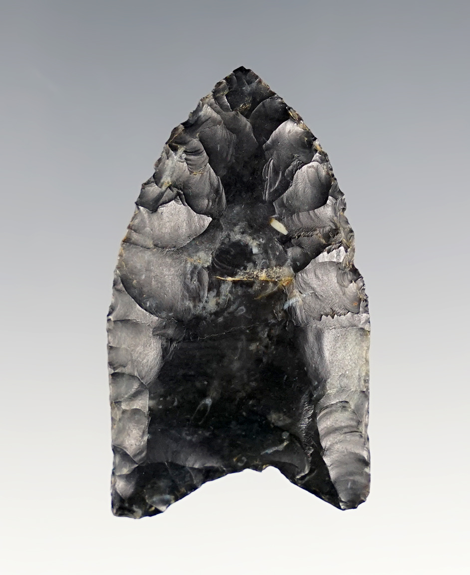 1 13/16" Paleo Fluted Clovis made from Coshocton Flint.  Madison Co., Ohio. Davis G-8 COA. 