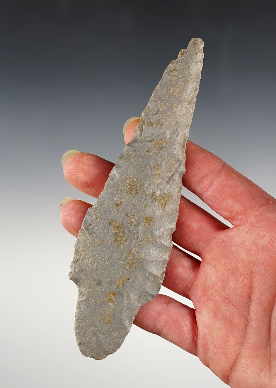 Large 5 11/16" Early Adena found by Perry "Pep" Israel in 1982 in Mahoning Co., Ohio. 