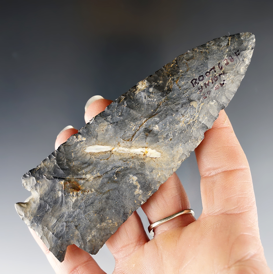 4 3/4" Archaic Fractured Base made from Nellie Chert. Found in Union Co., Ohio. Ex. Richard Turner.