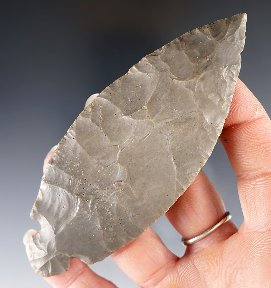 4 7/16" Turkeytail made from Hornstone, found in Warren Co., Ohio. Ex. L.L. Valdivia. Perino COA. 