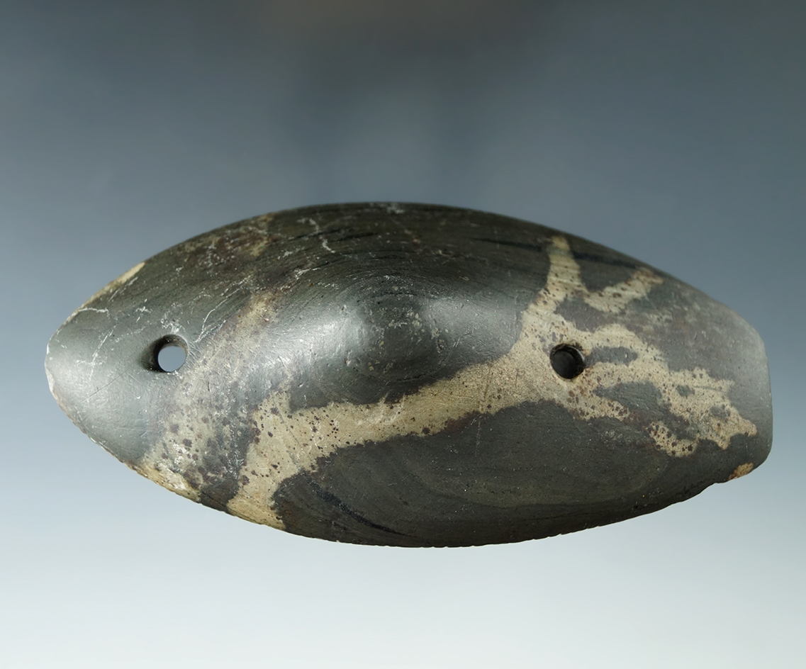 4 9/16" Glacial Kame Spineback Gorget that is heavily tallied, - Morrow Co., Ohio. Pictured Ex. Meus