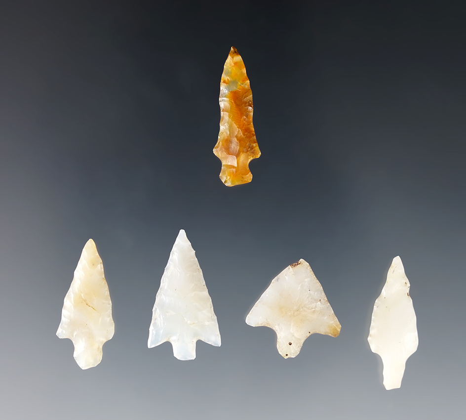 Set of 5 nice Points found close to the Columbia River. Ex. Wilke Museum. The largest is 15/16".