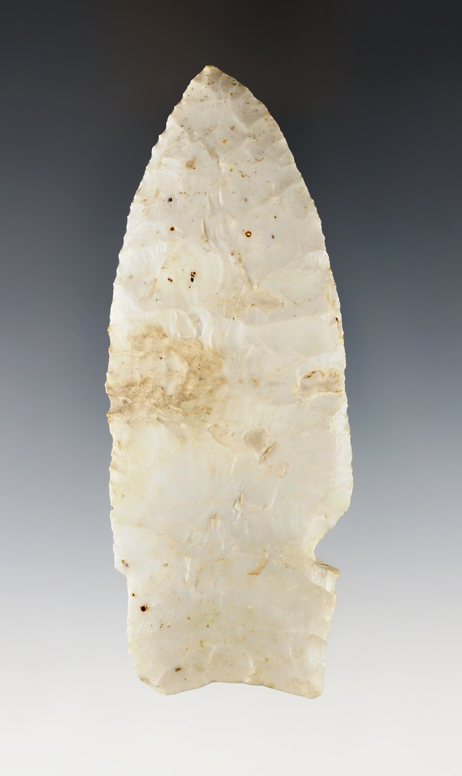 Large! 4 1/2" Cody Complex Scottsbluff that is beautifully flaked from Burlington Flint. Motley COA.