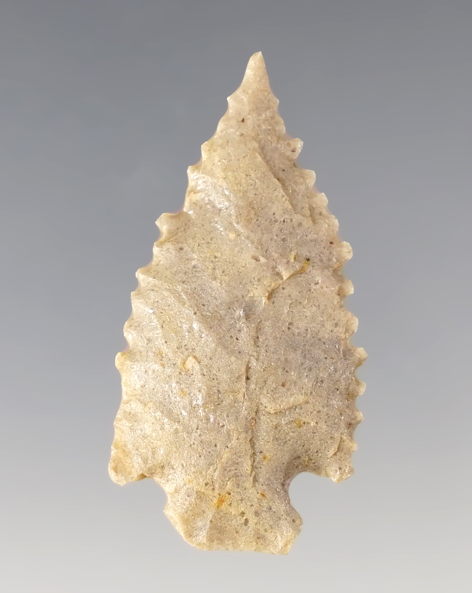 Finely serrated 1 5/8" Cornernotch Point found in Colorado.