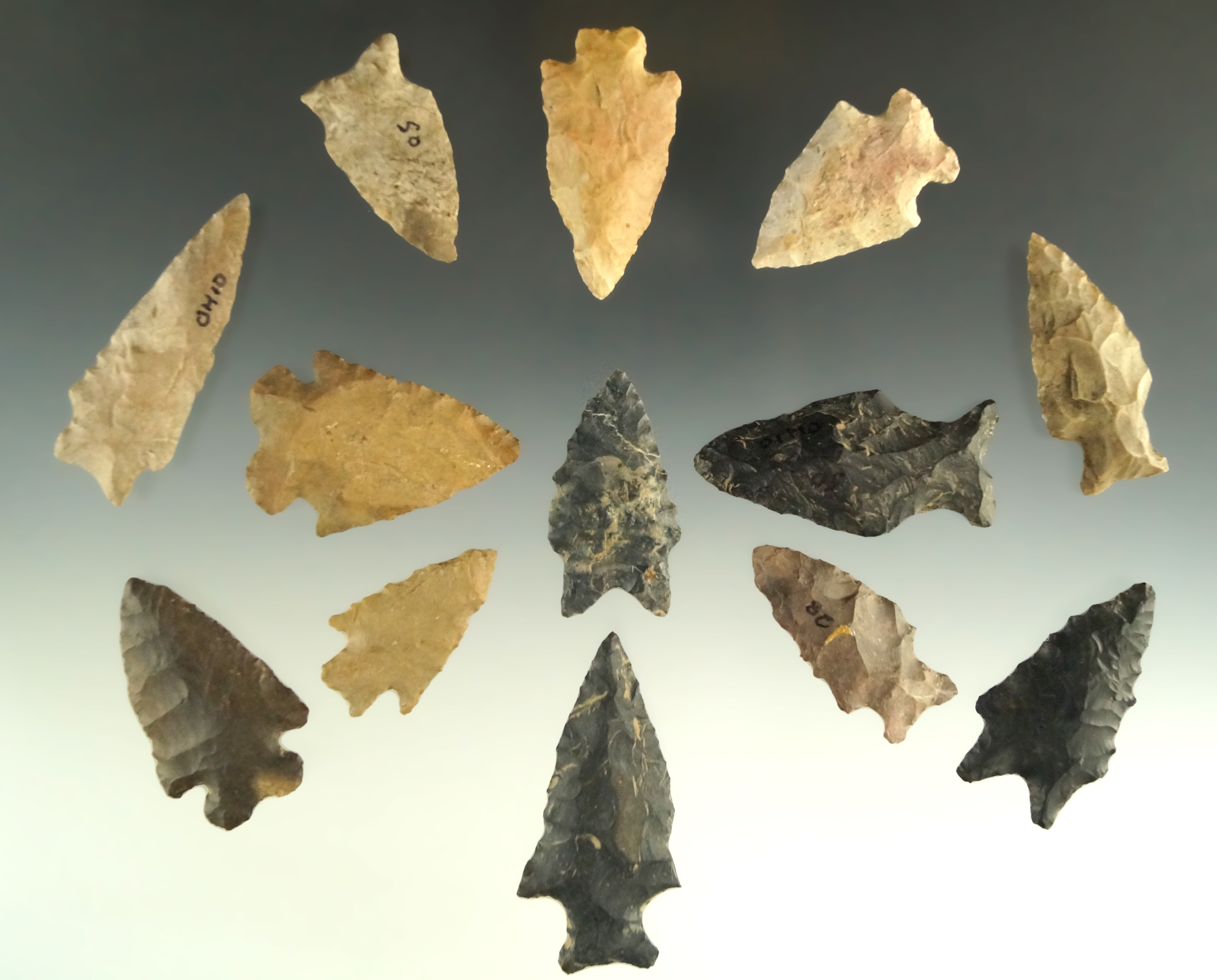 Set of 13 Assorted Arrowheads found in Ohio, largest is 2 5/16".