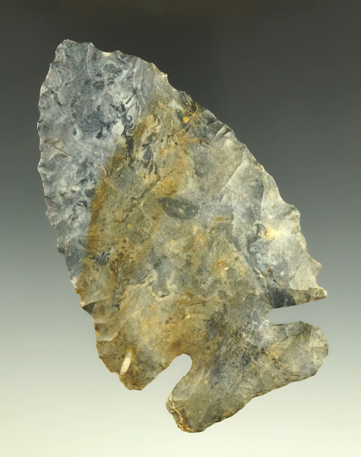 3 7/8" Archaic Thebes made from Blue, White and Brown Coshocton Flint, Delaware Co., Ohio.
