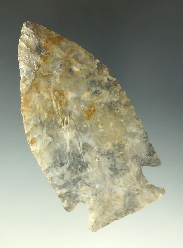 Exceptional 3 3/4" Jack's Reef Intrusive Mound - Pickaway Co., Ohio. Excellent Example of Type!