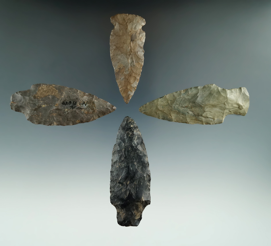 Set of four assorted Archaic points found in New York, largest is 3 1/16".