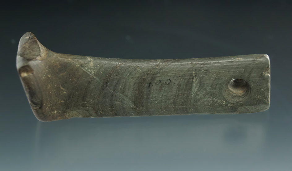 Unique! 2 3/4" anciently salvaged Birdstone tail that was polished at the break - New York.