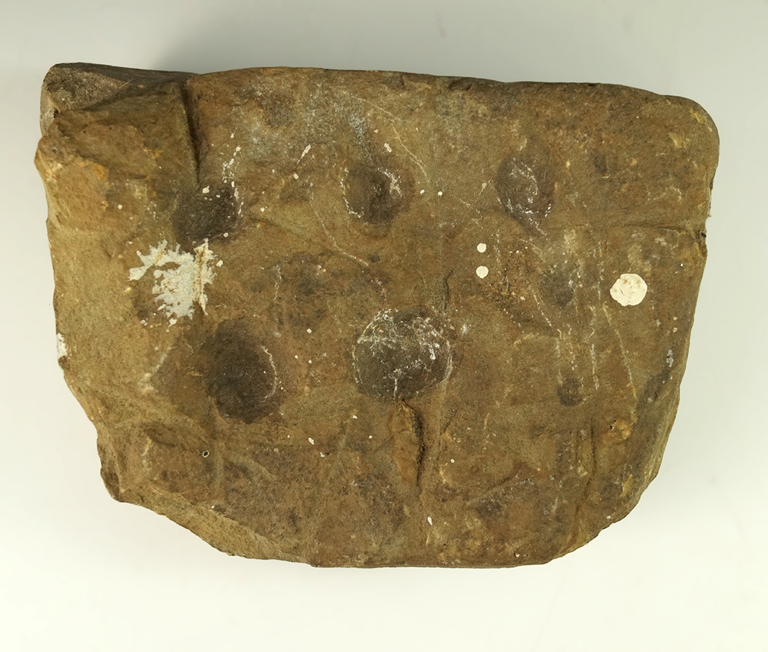 8 5/8" Nutting Stone with 5 divots that was also used as a Sharpening Stone.